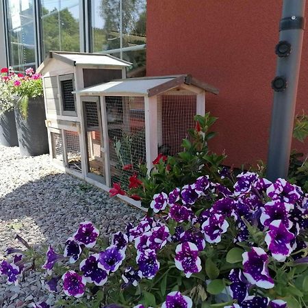 Gamtos Slenis Kaimo Turizmo Sodyba Bardinai Luaran gambar