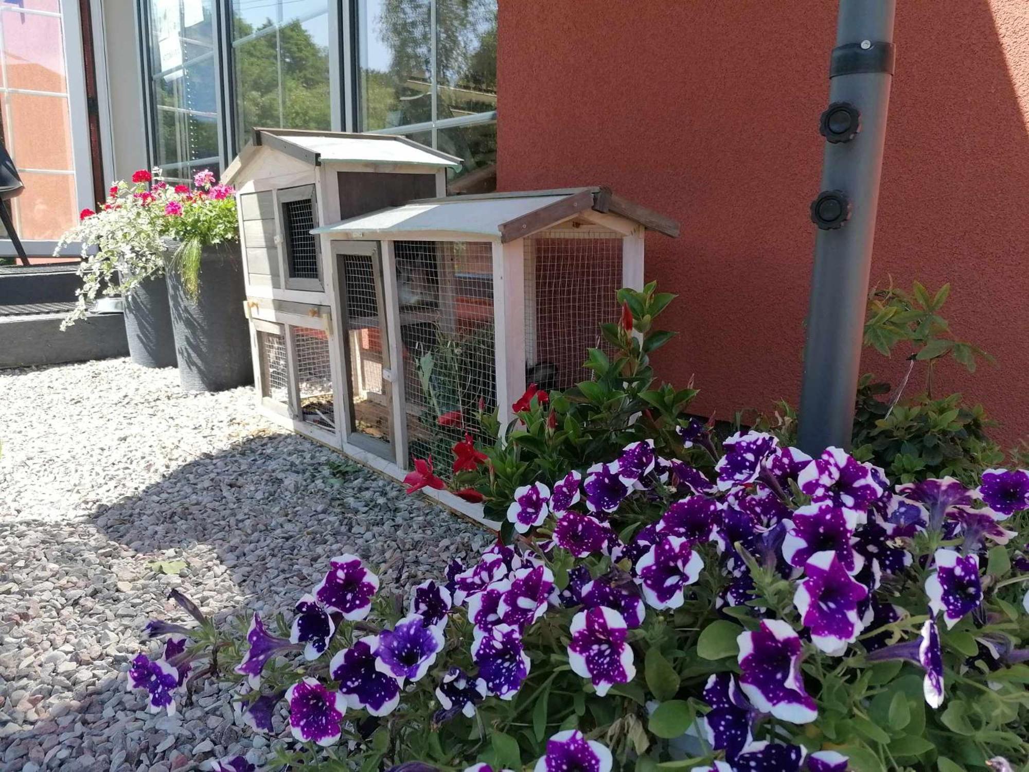 Gamtos Slenis Kaimo Turizmo Sodyba Bardinai Luaran gambar